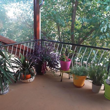 Apartmani Corleone Bilice Extérieur photo