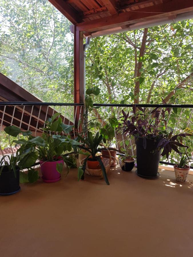 Apartmani Corleone Bilice Extérieur photo